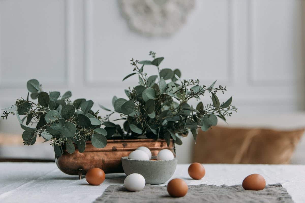 décoration écologique