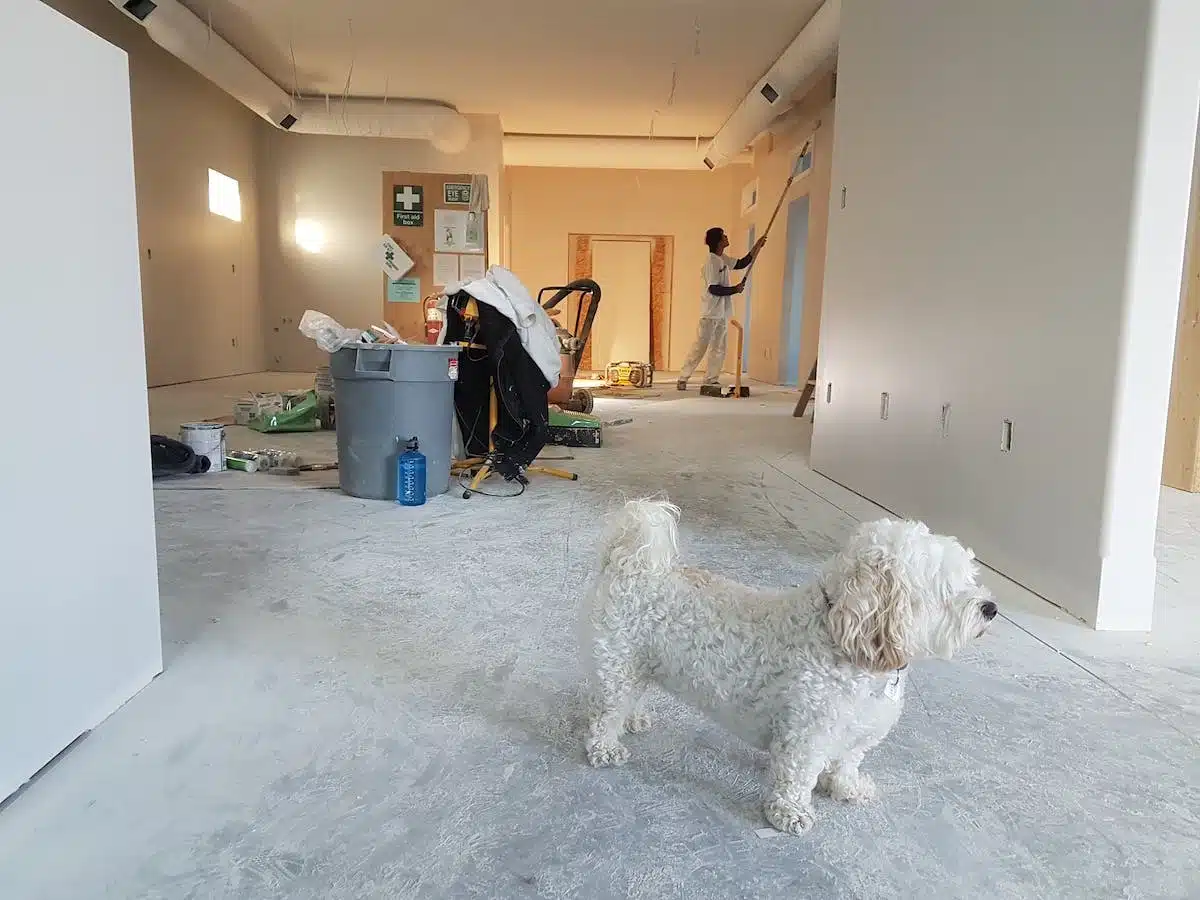 rénovation  immobilier
