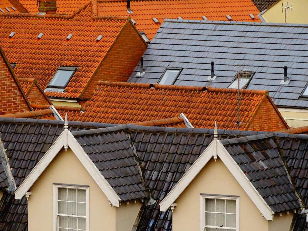 bird's eye view of assorted-color roof tiles